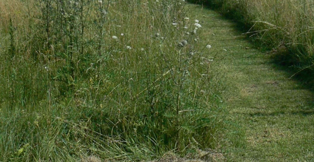 Au pays des Pelouses sèches