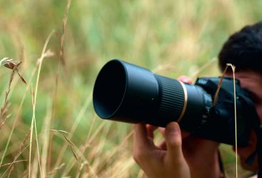 Macro photos de petites bêtes
