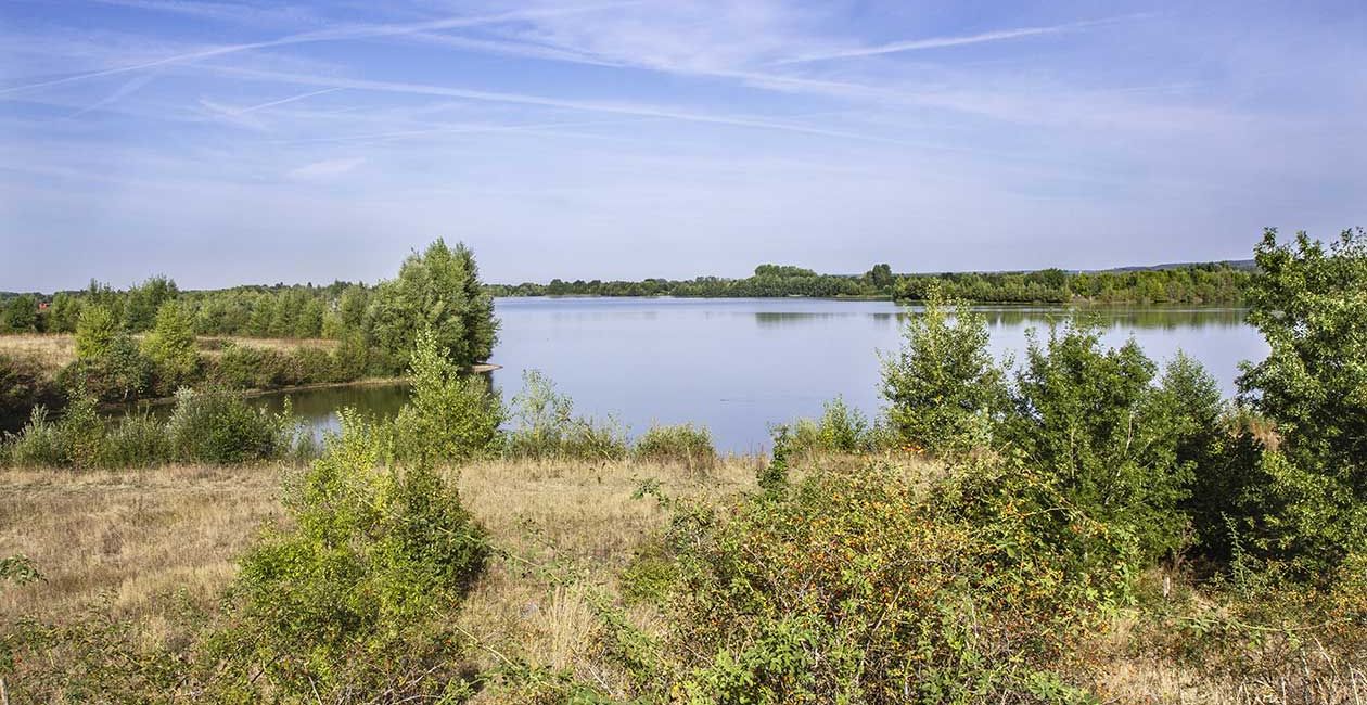Découverte des oiseaux d’eau