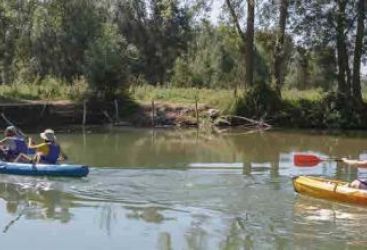 Balade nature en canoë