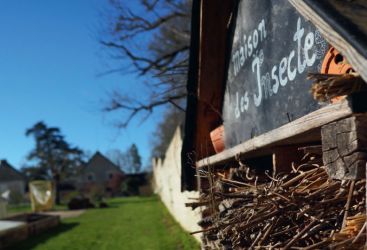 Atelier famille : cabanes à insectes