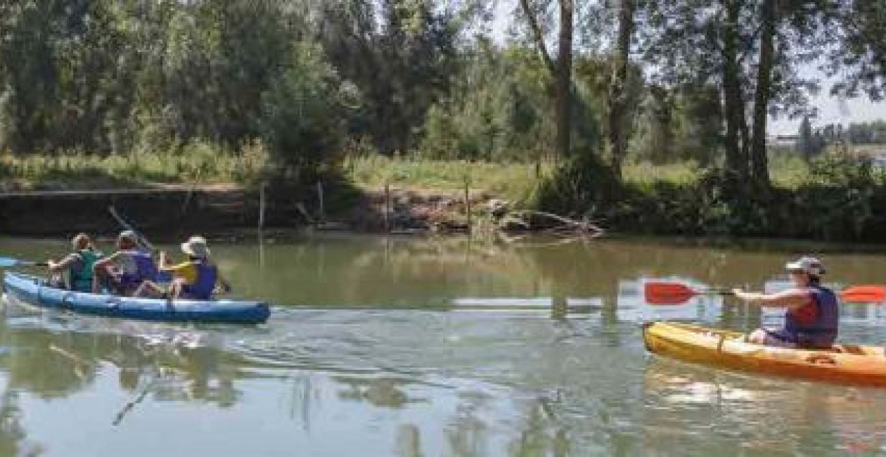 Balade nature en canoë