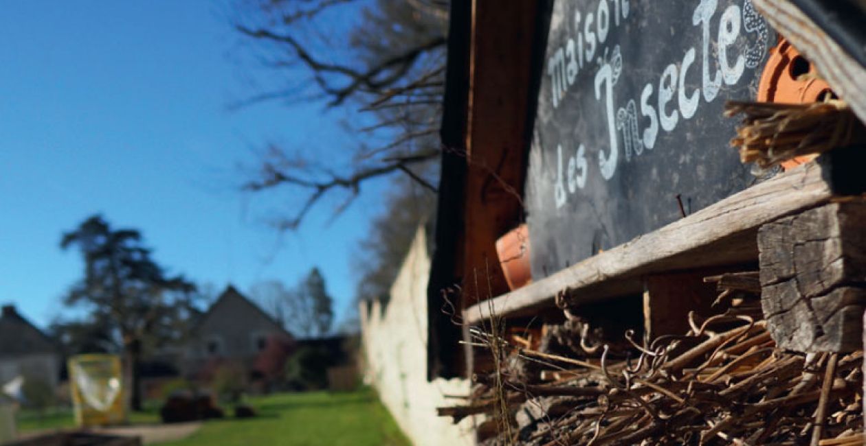 Atelier famille : cabanes à insectes