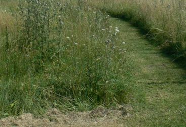 Au pays des Pelouses sèches