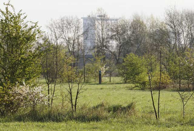 Bocage de la Gloriette