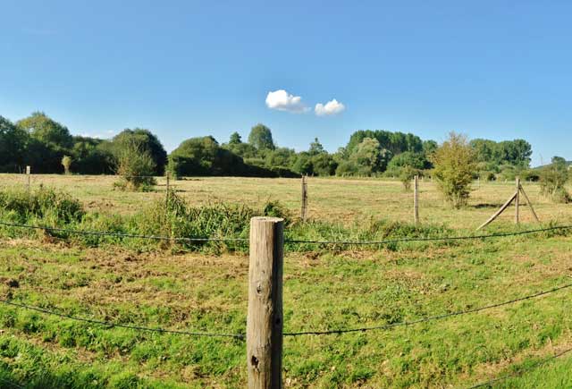 Marais de Taligny