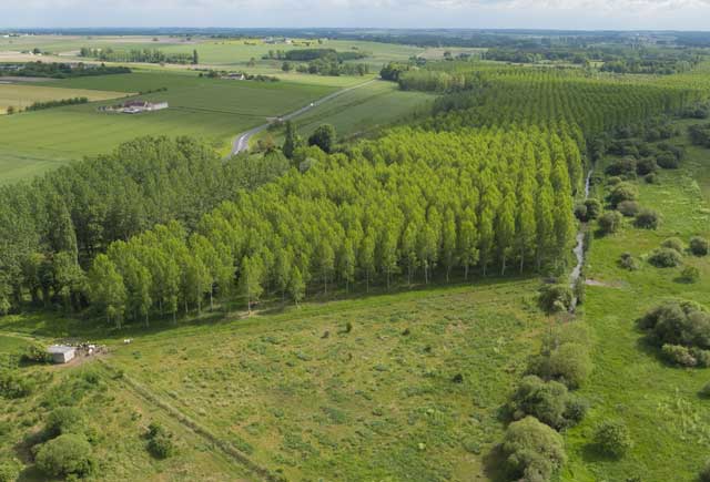 Marais de Taligny