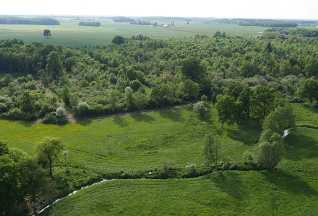 Tourbières de Montifray Tourbières de Montifray