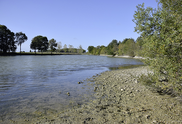 Etang de l'Archevêque