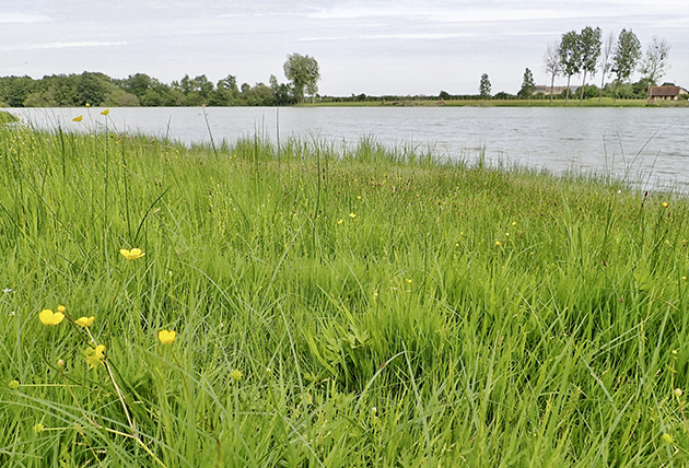 Etang de l'Archevêque
