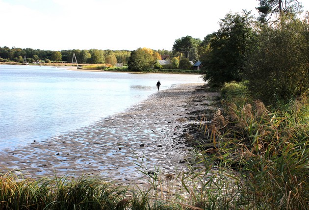 Lac de Rillé - Pincemaille