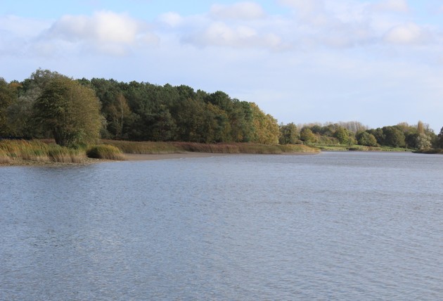 Lac de Rillé - Pincemaille