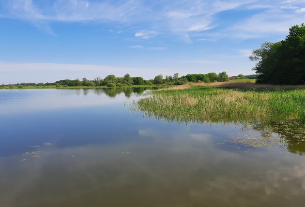 Lac de Rillé - Pincemaille